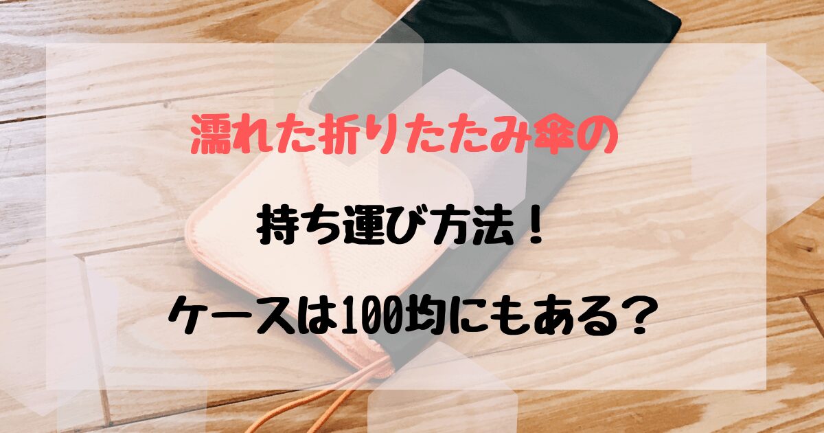 濡れた折り畳み傘はどうしてる？濡れたまま持ち運びできるケース紹介